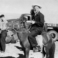 Монгольская экспедиция (1958 г.)  для исследования Гоби-Алтайского землетрясения. Н.А. Логачев